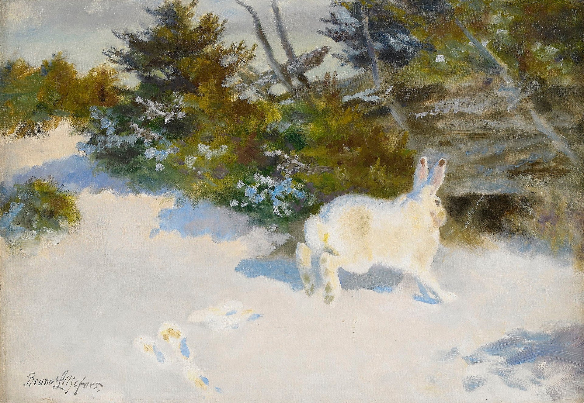 Lièvre dans un paysage hivernal - Bruno Liljefors image 1 reproduction d’œuvre d’art à l’huile