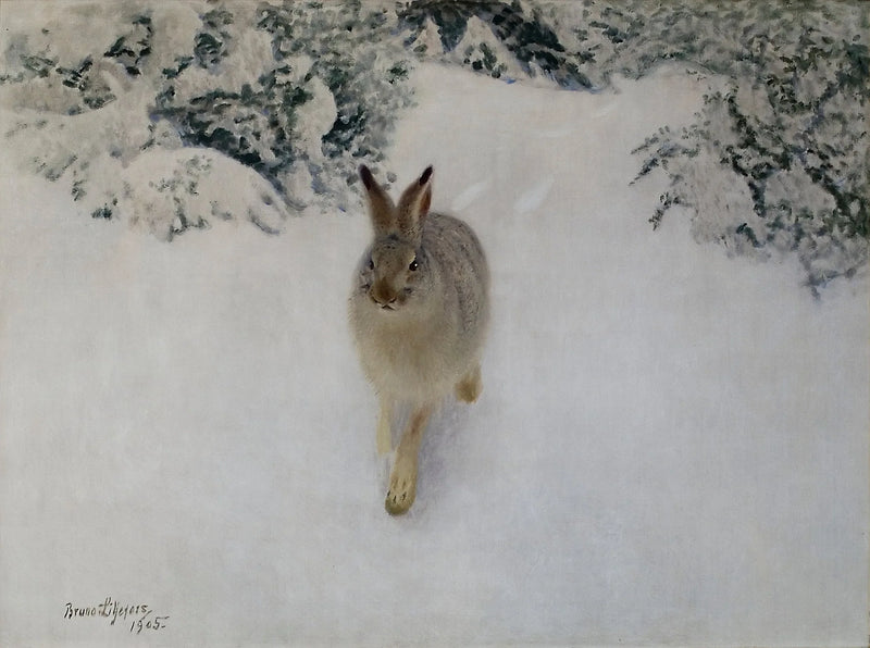 Lepre d'inverno - Bruno Liljefors