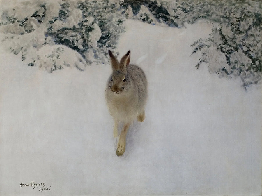 Lepre d'inverno - Bruno Liljefors