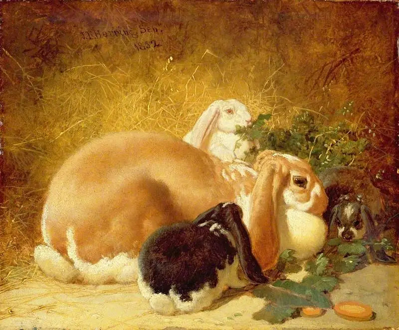 Lepre belghe - John Frederick Herring, Sr.