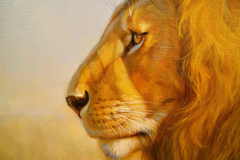 Leone nella savana | Dimensioni: 150x100 cm