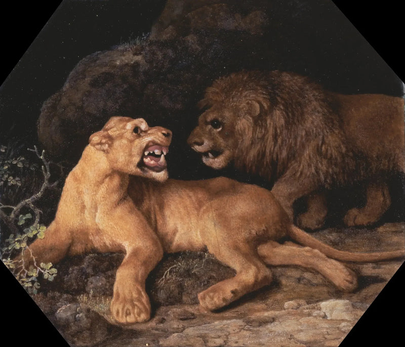 Leone e Leonessa - George Stubbs