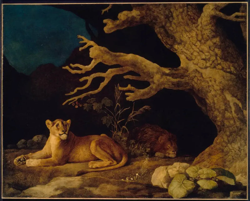 Leone e Leonessa - George Stubbs