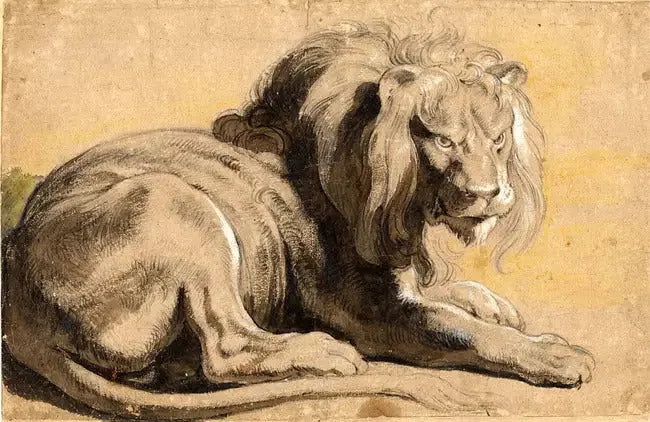 Leone - Peter Paul Rubens