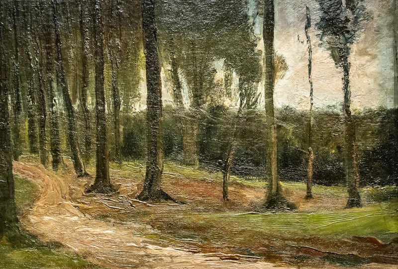 margine di un bosco - Vincent van Gogh