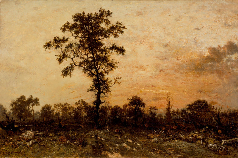 Margine della foresta, tramonto - Théodore Rousseau