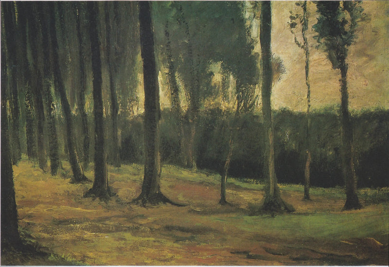 margine di un bosco - Vincent van Gogh