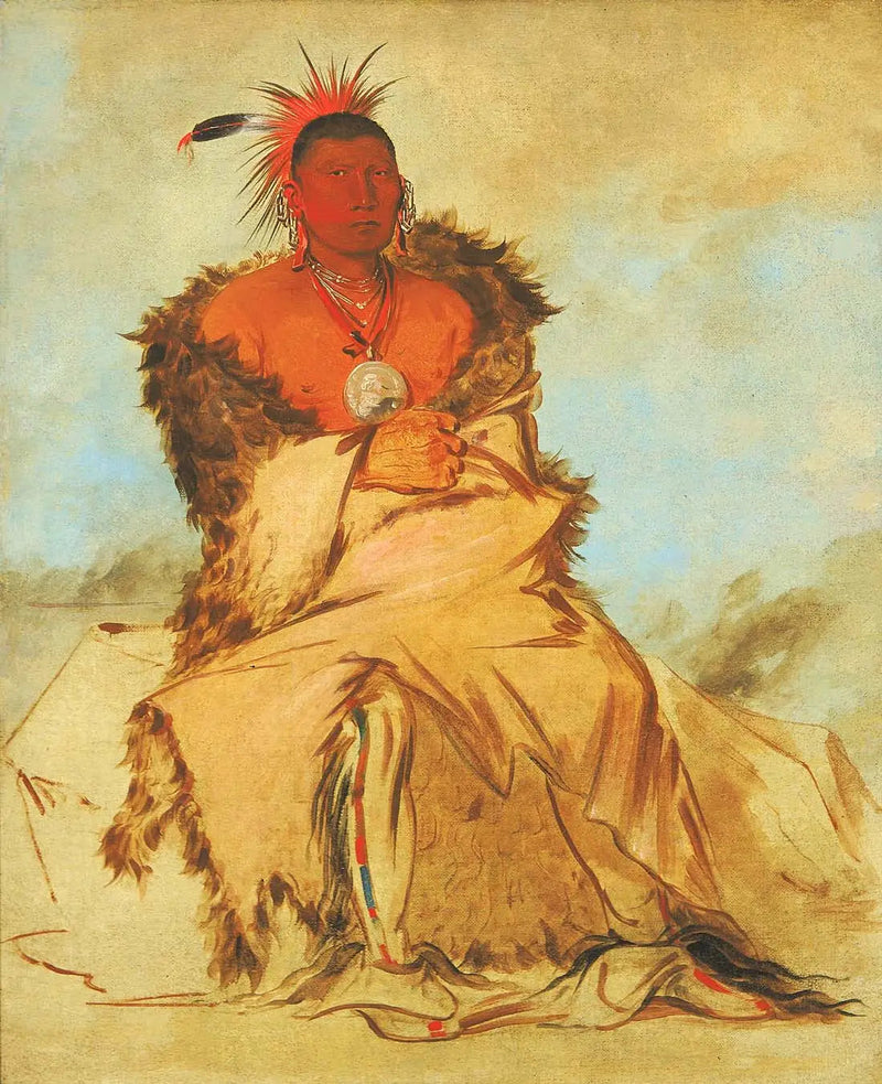 Loo-rá-wée-re-coo, uccello che parte in guerra, un Tapage Pawnee - George Catlin