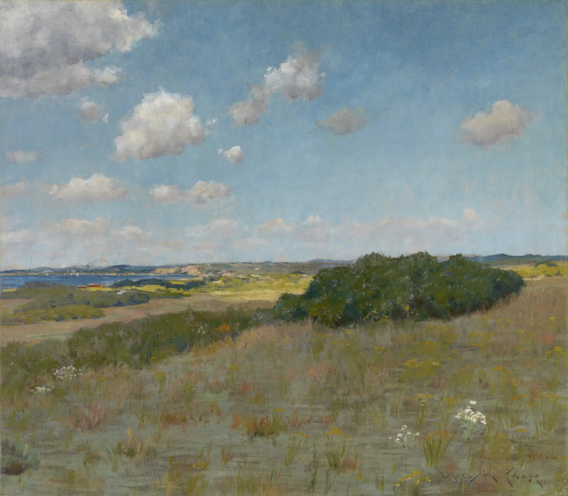 Luce del sole e ombra, Shinnecock Hills - William Merritt Chase