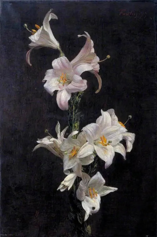Lys bianchi - Henri Fantin-Latour