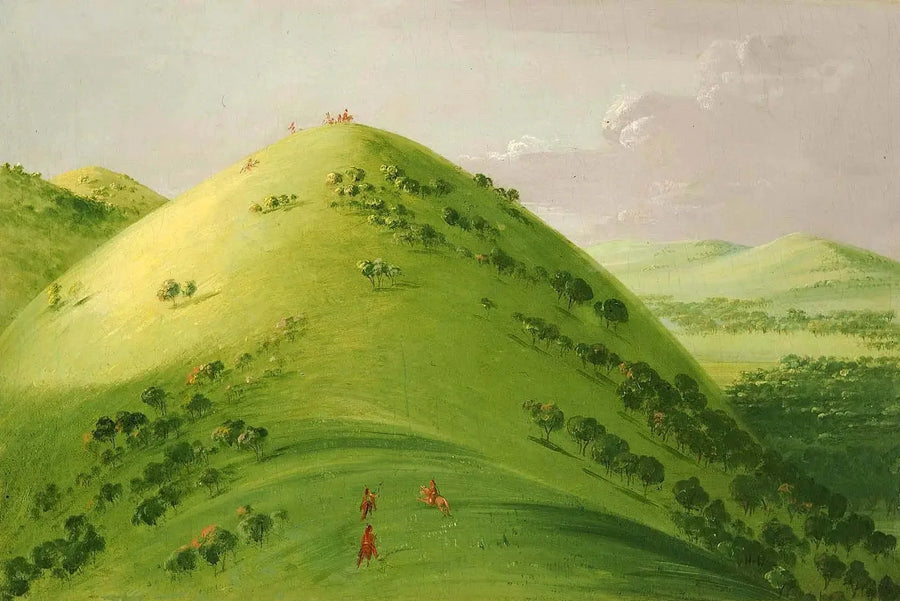 Magnifiche praterie, Haut-Mississippi - George Catlin