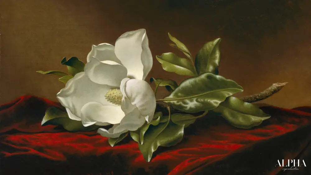 Magnolia Grandiflora - Martin Johnson Heade - Reproductions de tableaux et peintures haut de gamme