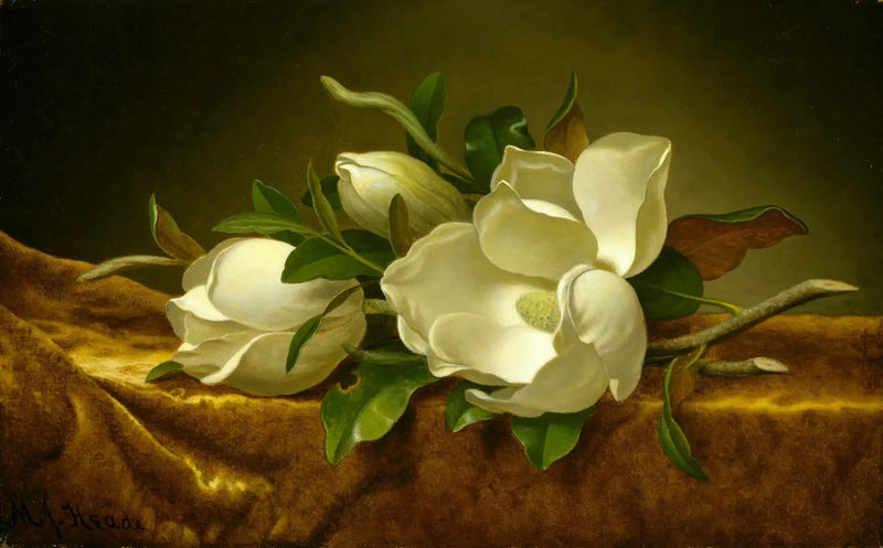 Magnolie su tessuto di velluto dorato - Martin Johnson Heade