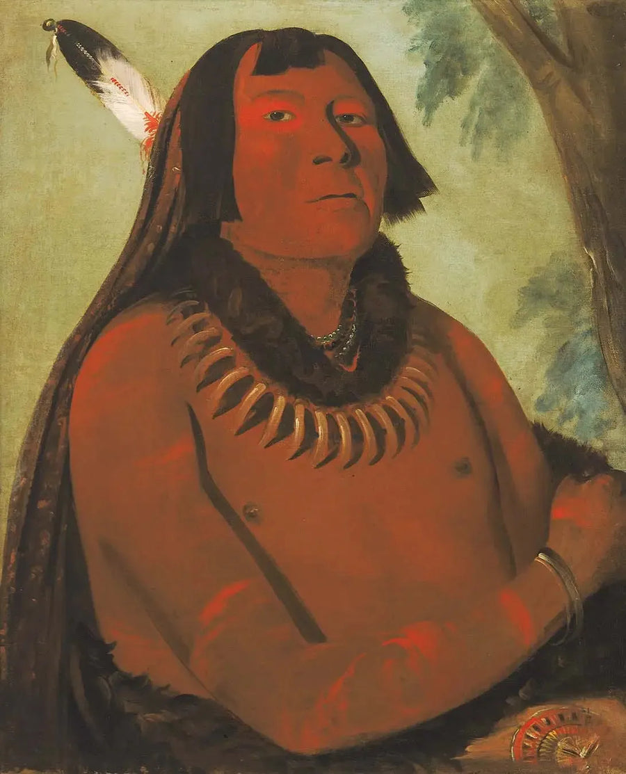 Mah-táhp-ta-a, si precipita al centro, un valoroso - George Catlin