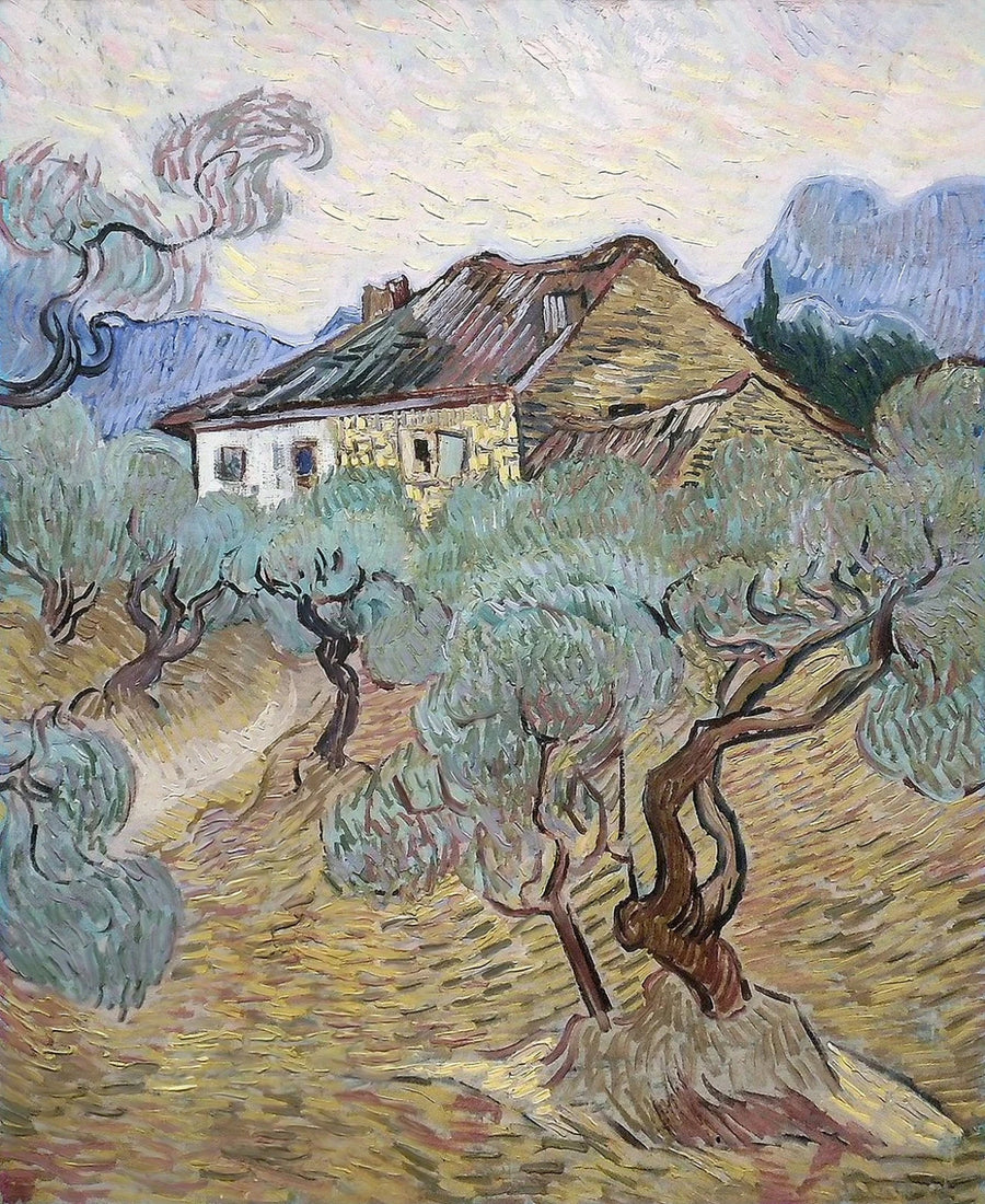 La casa bianca tra gli ulivi - Vincent van Gogh