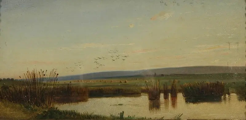 Marais al tramonto - Ivan Chichkine