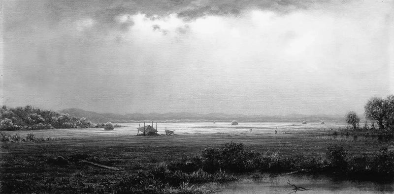 Marais di Newburyport - Martin Johnson Heade