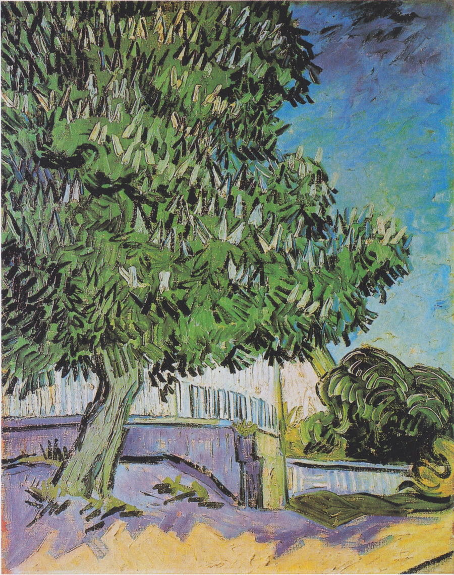 Castagni in fiore - Vincent van Gogh