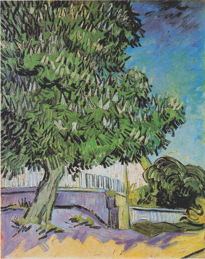 Castagni in fiore - Vincent van Gogh