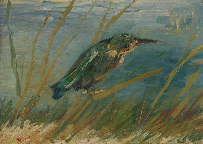 Martin pescatore al bordo dell'acqua - Vincent van Gogh