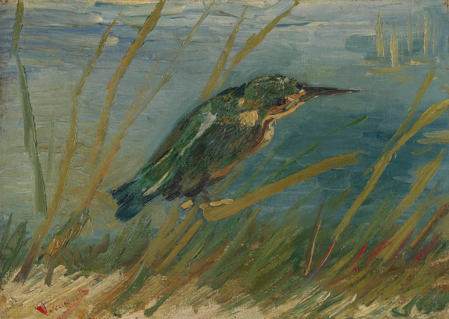 Martin pescatore al bordo dell'acqua - Vincent van Gogh