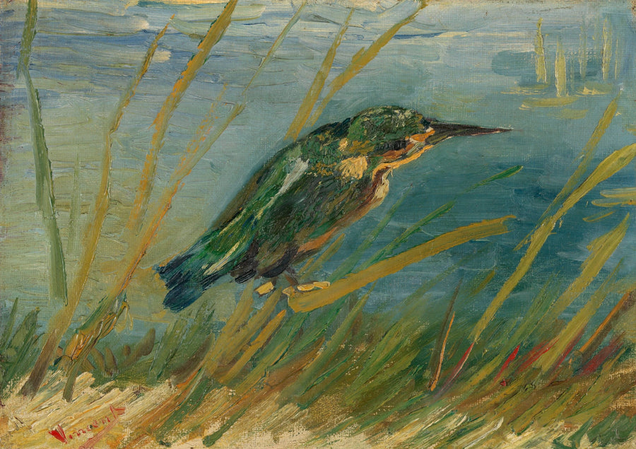 Martin pescatore al bordo dell'acqua - Vincent van Gogh