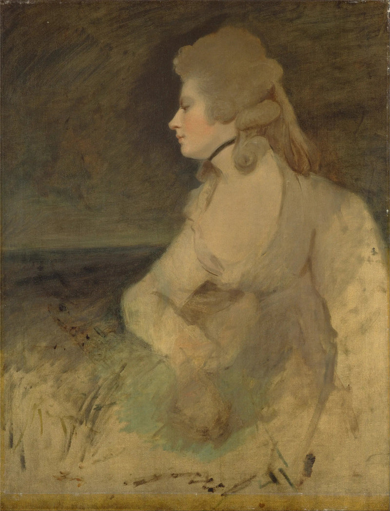 Mary Robinson (nata Darby) - Joshua Reynolds