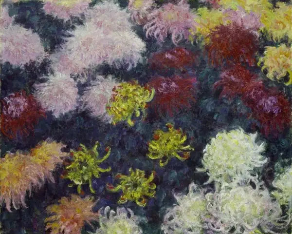 Massiccio di crisantemi - Claude Monet