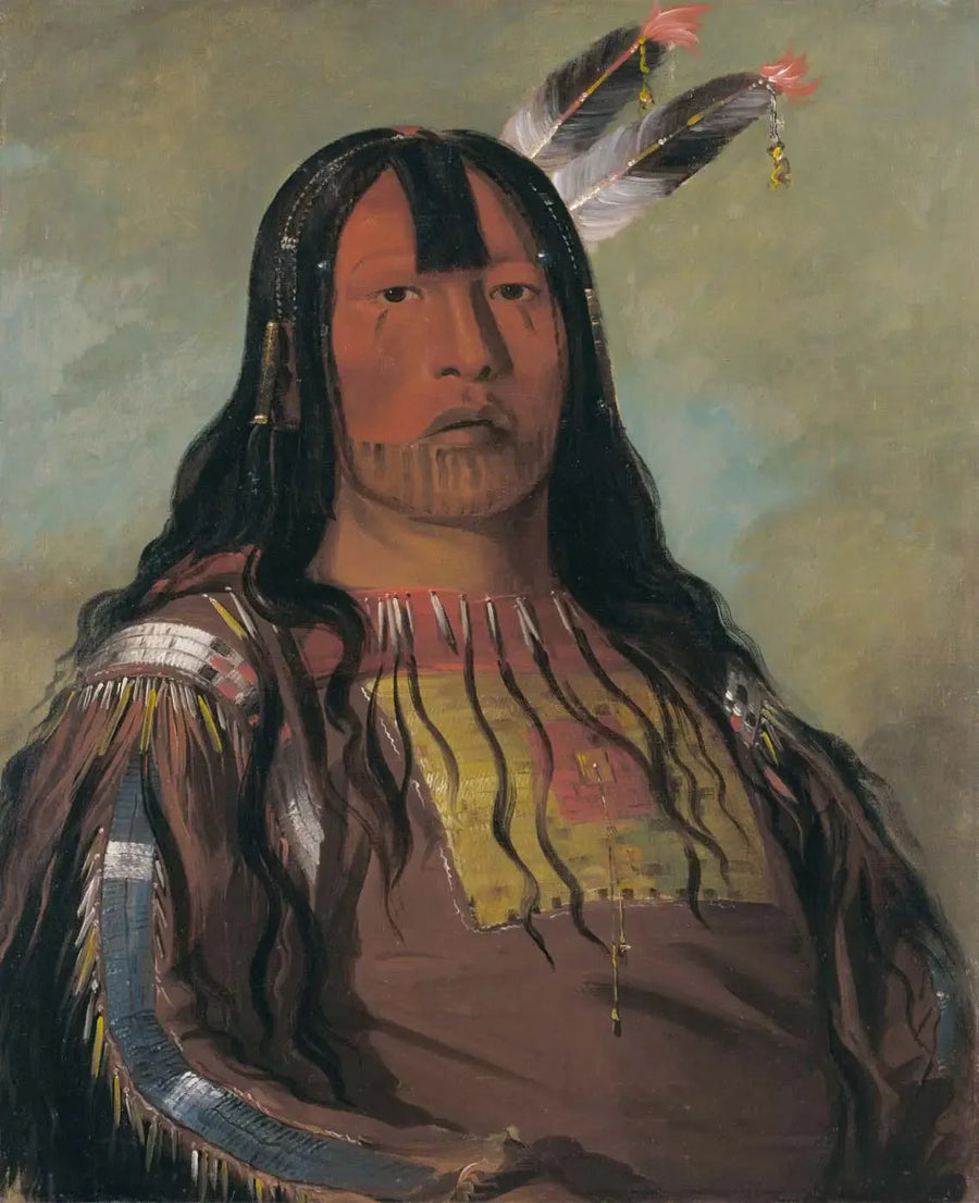Mix-ke-móte-skin-na, Corno di Ferro, un Guerriero - George Catlin
