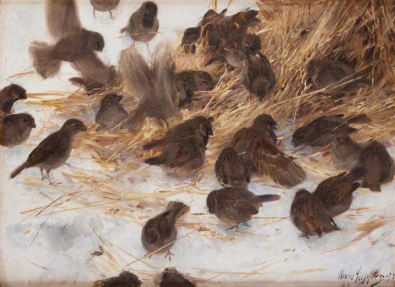 Passeri su un fascio di avena - Bruno Liljefors