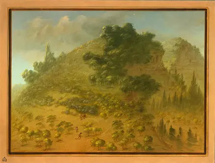 Montagne des Rhododendrons - George Catlin - Alpha Reproduction