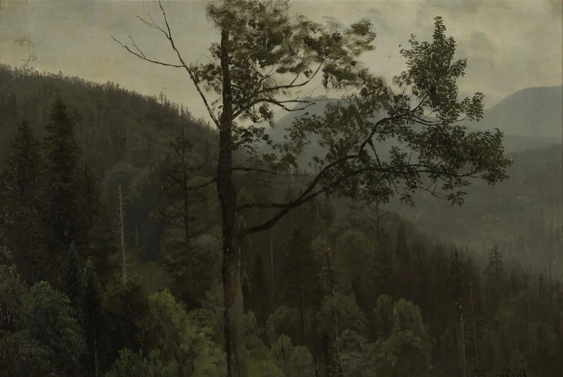 Montagne coperte di alberi - Albert Bierstadt