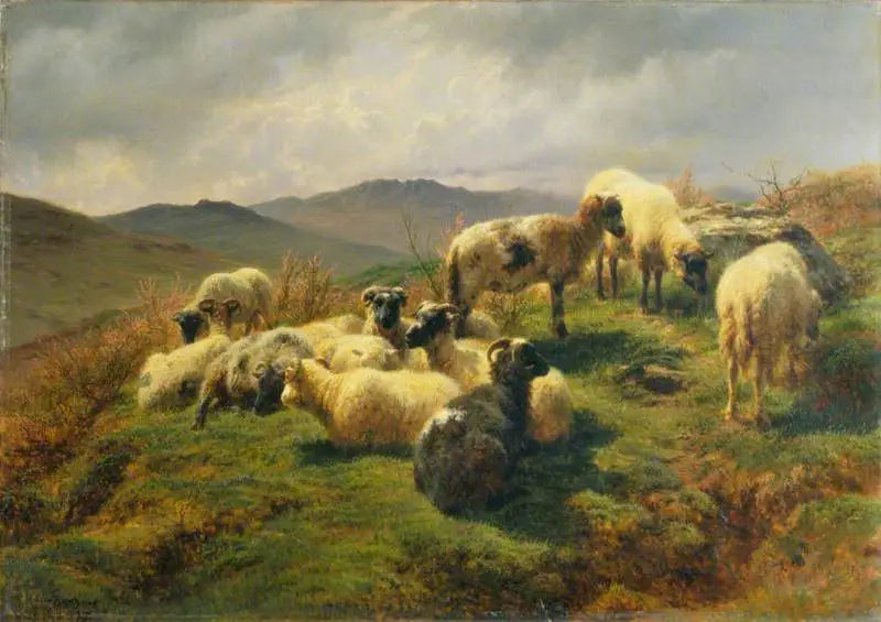 Pecore nelle Highlands - Rosa Bonheur