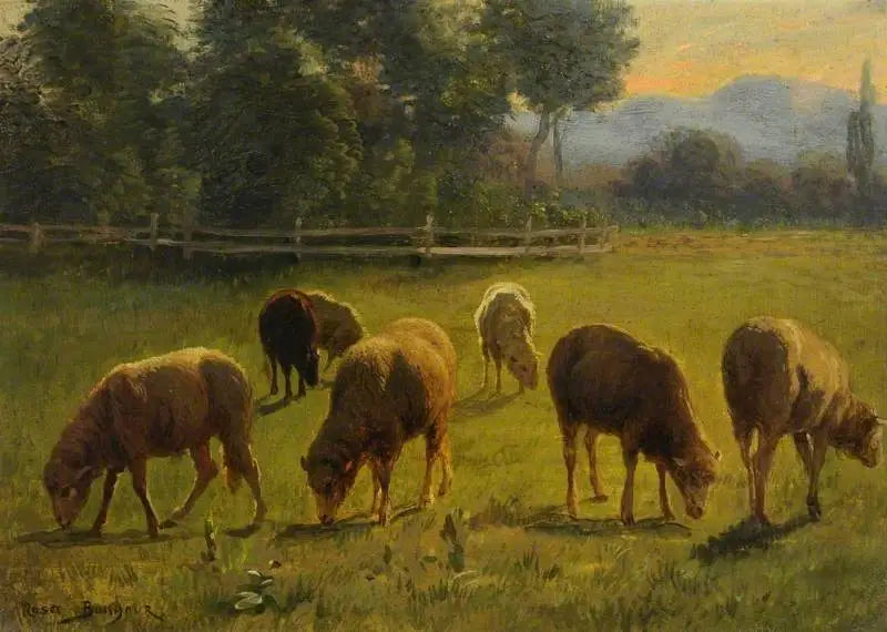 Pecore in un paesaggio - Rosa Bonheur