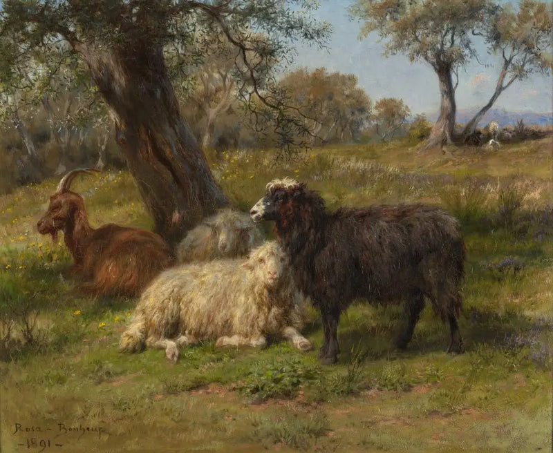 Pecore e capre - Rosa Bonheur