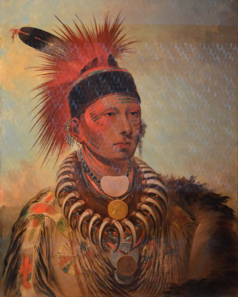 Mu-hu-she-kaw (Il nuvola bianca) - George Catlin