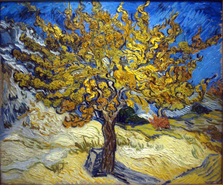 Il gelso - Vincent van Gogh