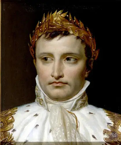 Napoleone, testa coronata - Jacques-Louis David