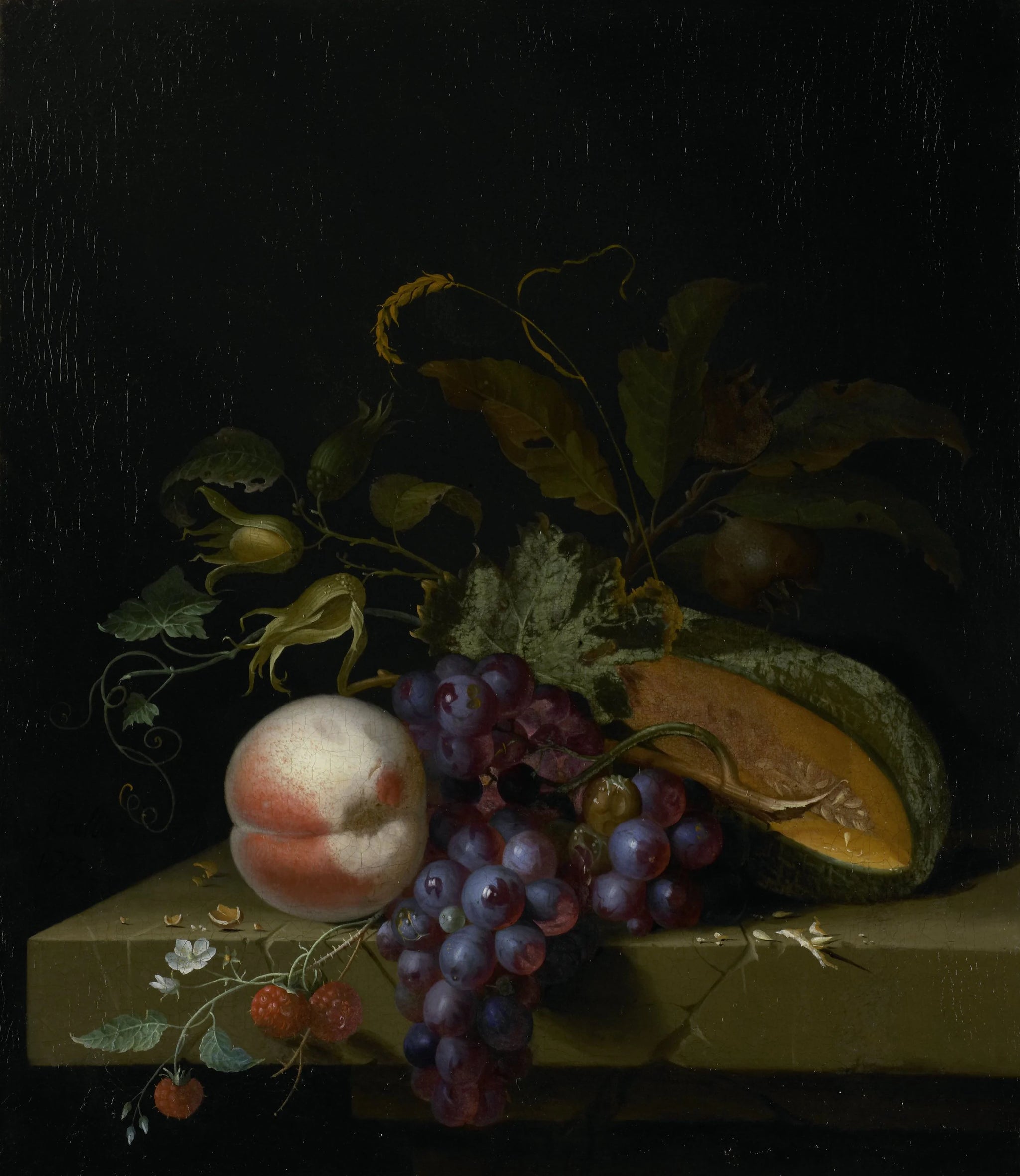 Nature morte aux fruits - Pieter Gallis