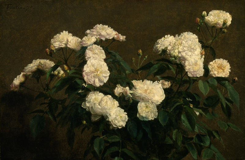 Natura morta con rose bianche - Henri Fantin-Latour