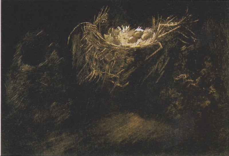 Natura morta con tre nidi d'uccelli - Vincent van Gogh