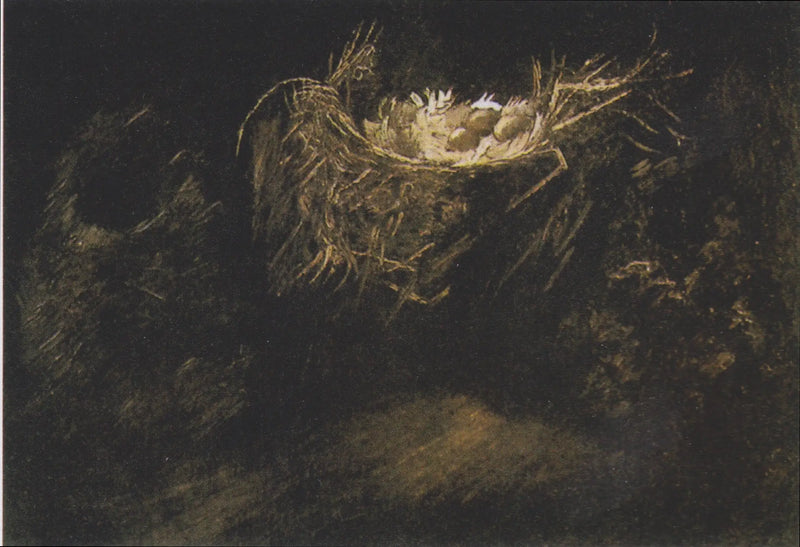 Natura morta con tre nidi d'uccelli - Vincent van Gogh