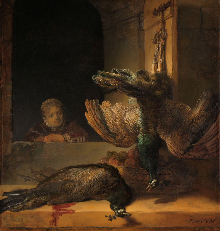 Natura morta con pavoni - Rembrandt