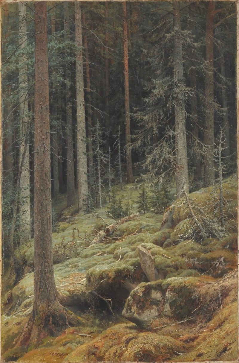 Natures sauvages - Ivan Chichkine