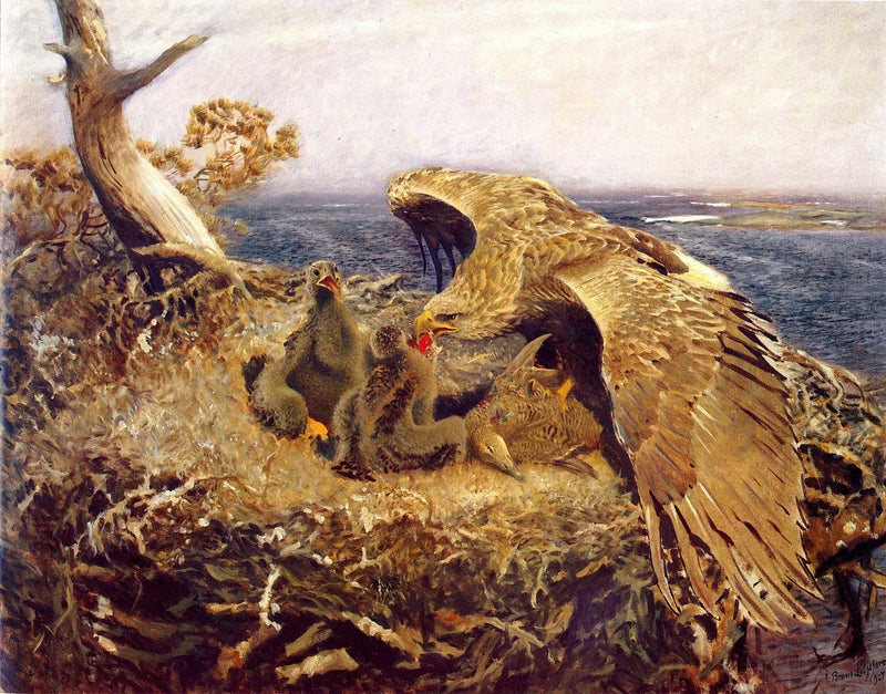 Il Nido dell'Aquila di Mare - Bruno Liljefors