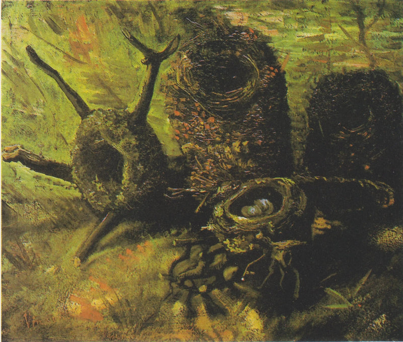 nidi d'uccelli - Vincent van Gogh