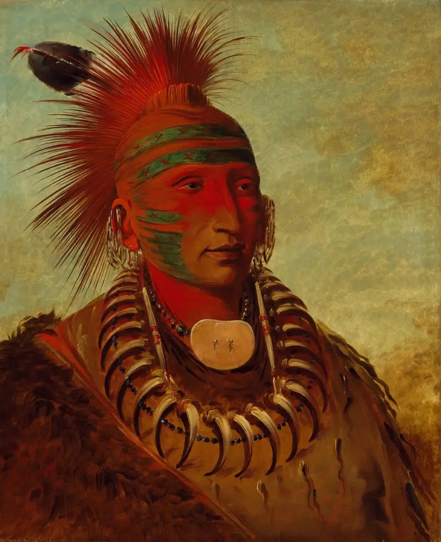 No-ho-mun-ya, Colui che non presta alcuna attenzione - George Catlin