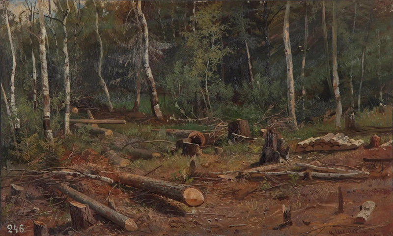 Nuova sfruttamento forestale - Ivan Chichkine