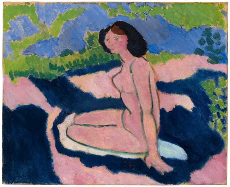 Nu seduto - Henri Matisse
