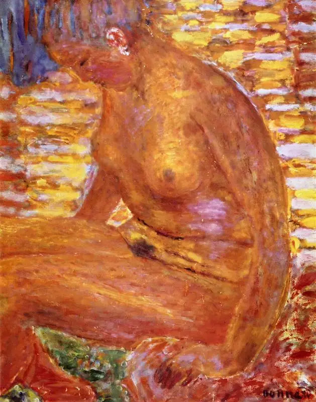 Nu scuro - Pierre Bonnard